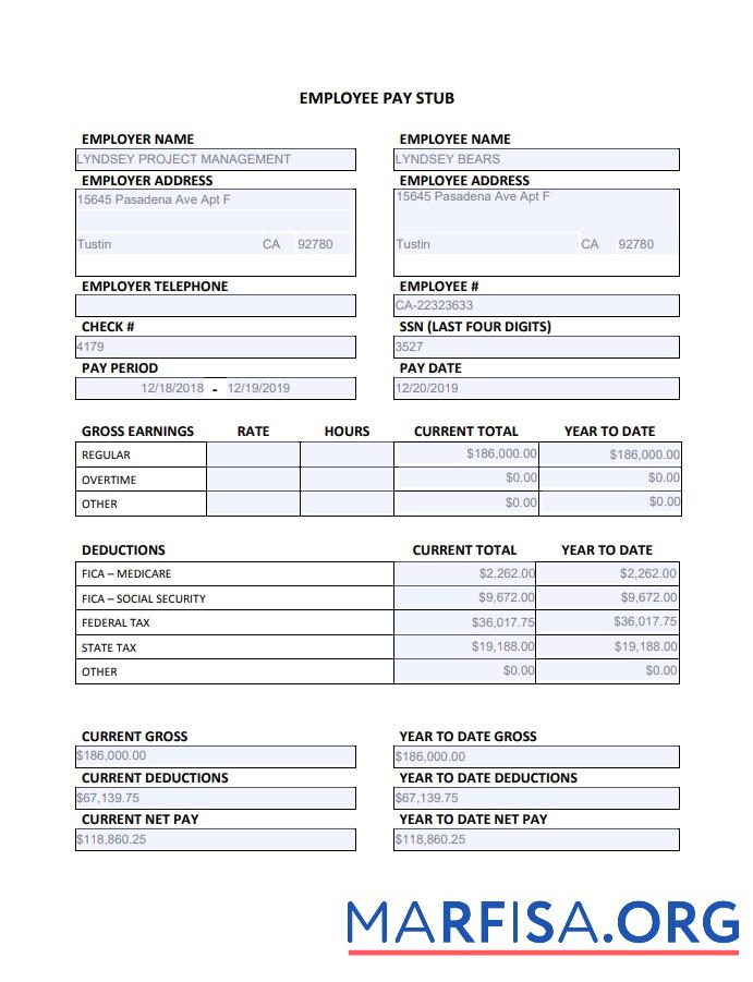 Employee annual pay stub образец