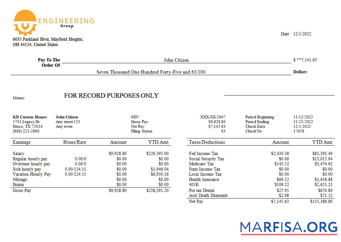 инженерия Компания payslip образец