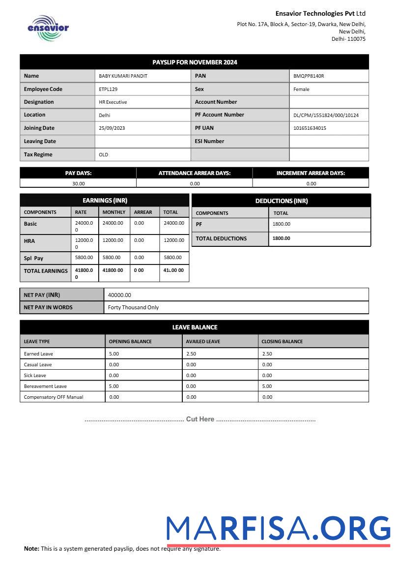 Ensavior Technologies payslip дизайн
