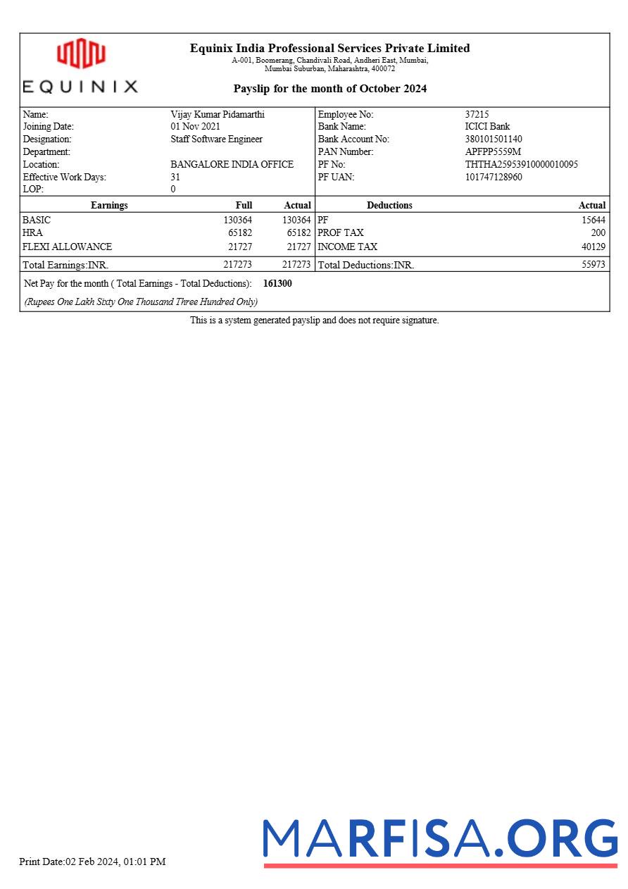 Equinix Индия Профессиональный Services payslip образец
