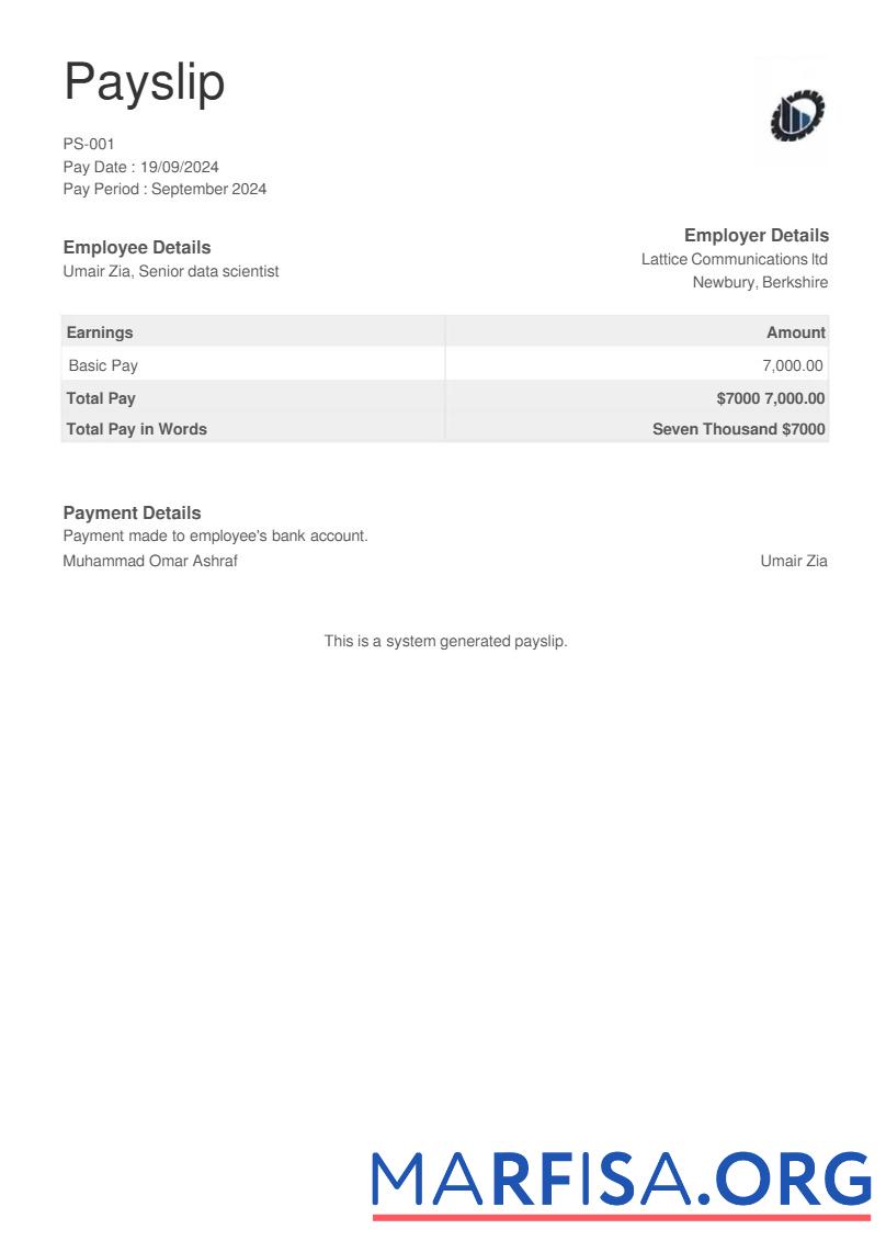 Оборудование testing Компания payslip макет