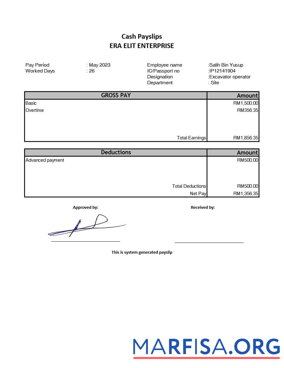 Era Elit Enterprise payslip дизайн