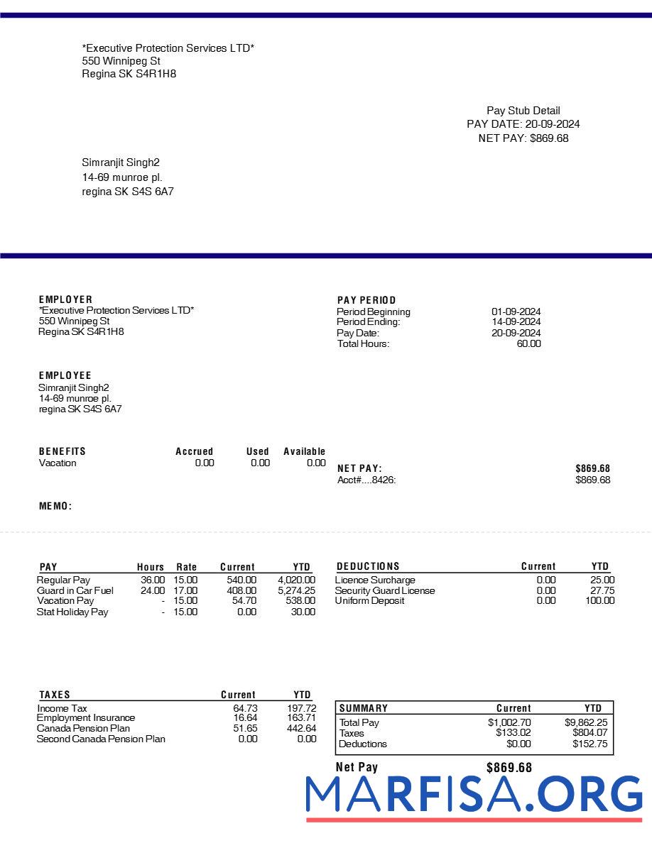 Executive Protection Services LTD pay stub предпросмотр