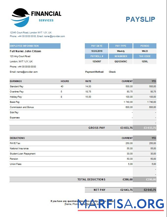 Financical services payslip дизайн