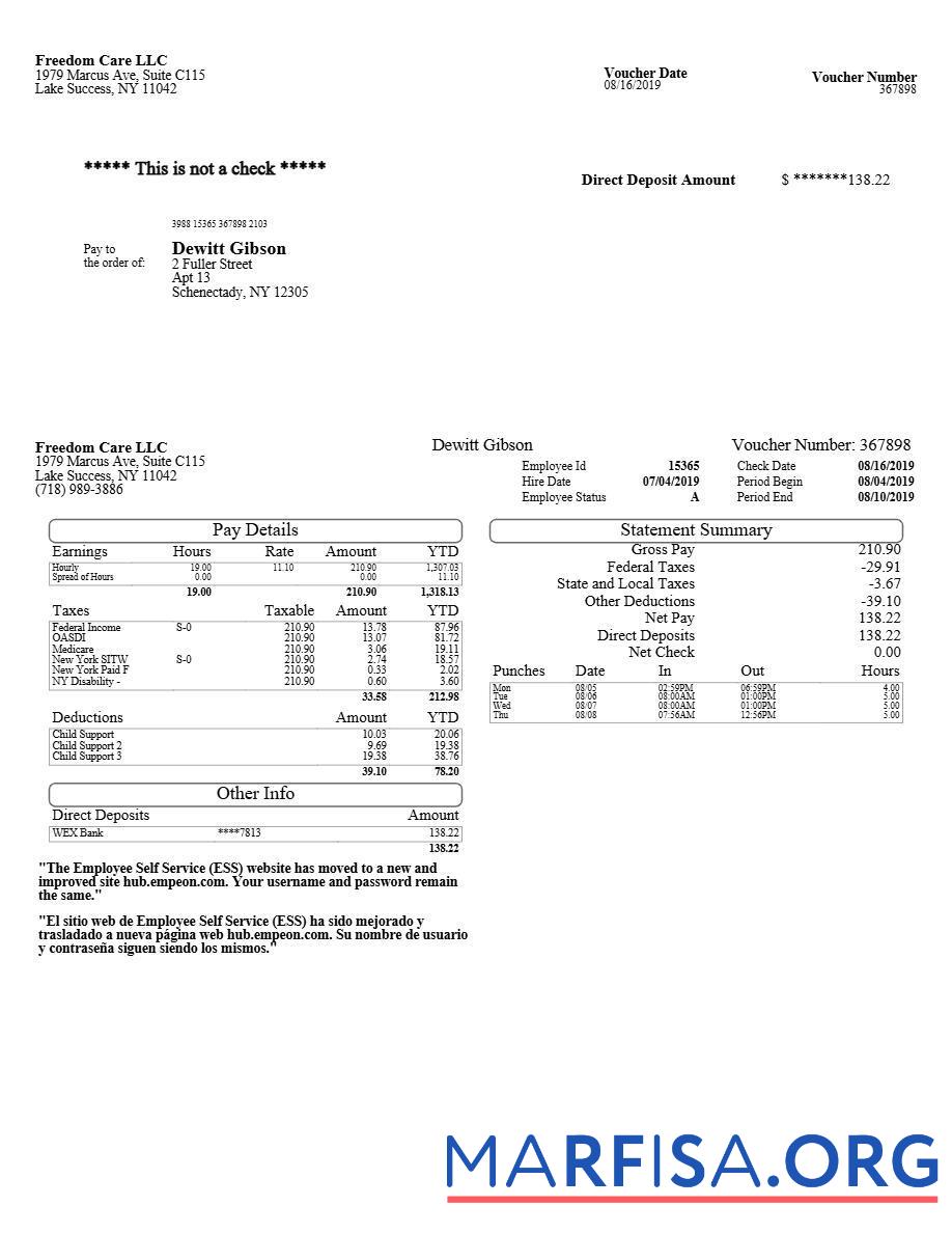 Freedom Care LLC pay stub образец