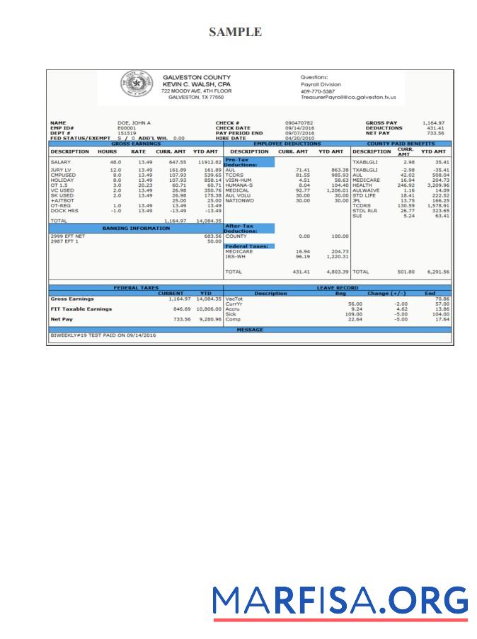 Galveston County Payroll Check Stub шаблон
