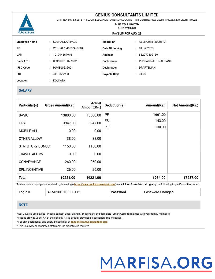 Genius Consultants payslip предпросмотр