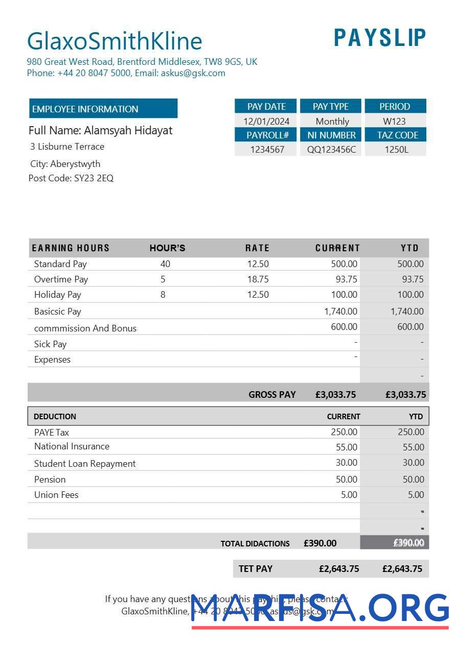 GlaxoSmithKline pharmaceutical Компания payslip макет