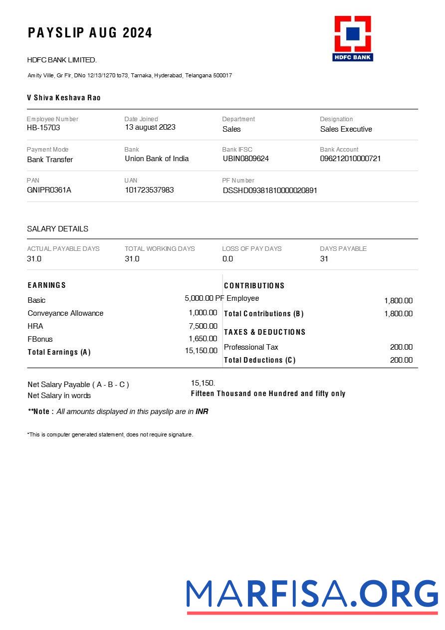 HDFC Банковский payslip предпросмотр