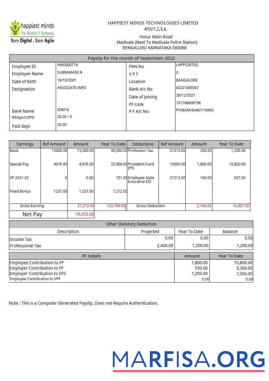 Happiest Minds Technologies payslip образец