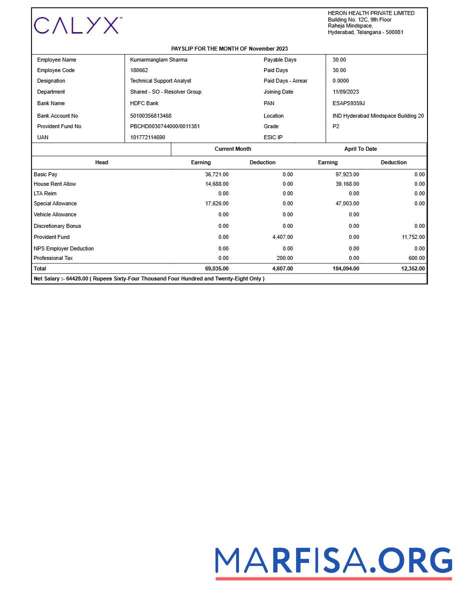 Heron Здоровье payslip дизайн