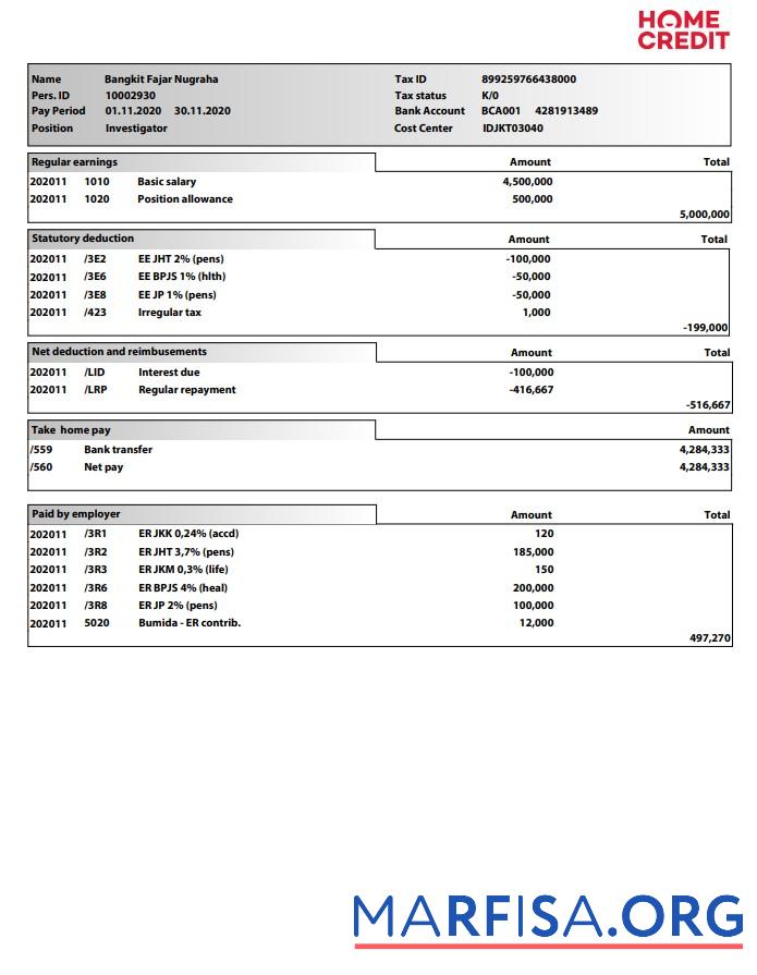 Home Кредит Paystub предпросмотр