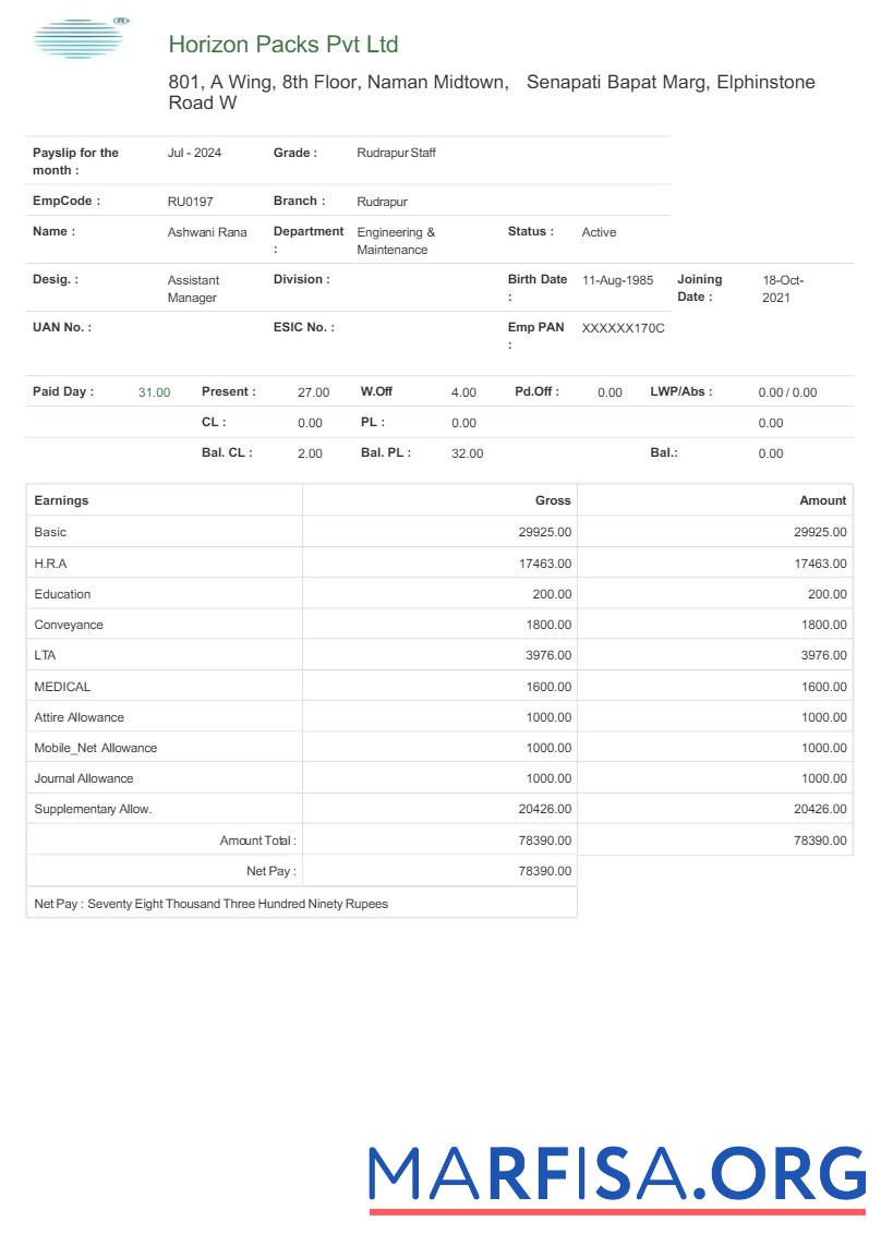 Horizon Packs payslip предпросмотр