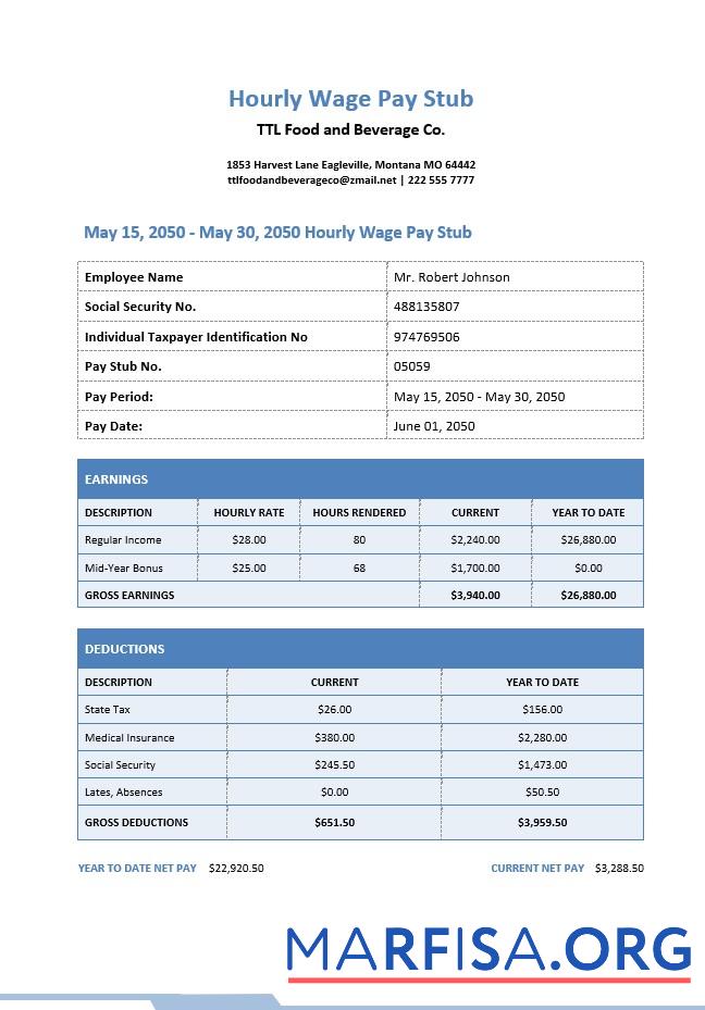Hourly Wage Pay Stub образец