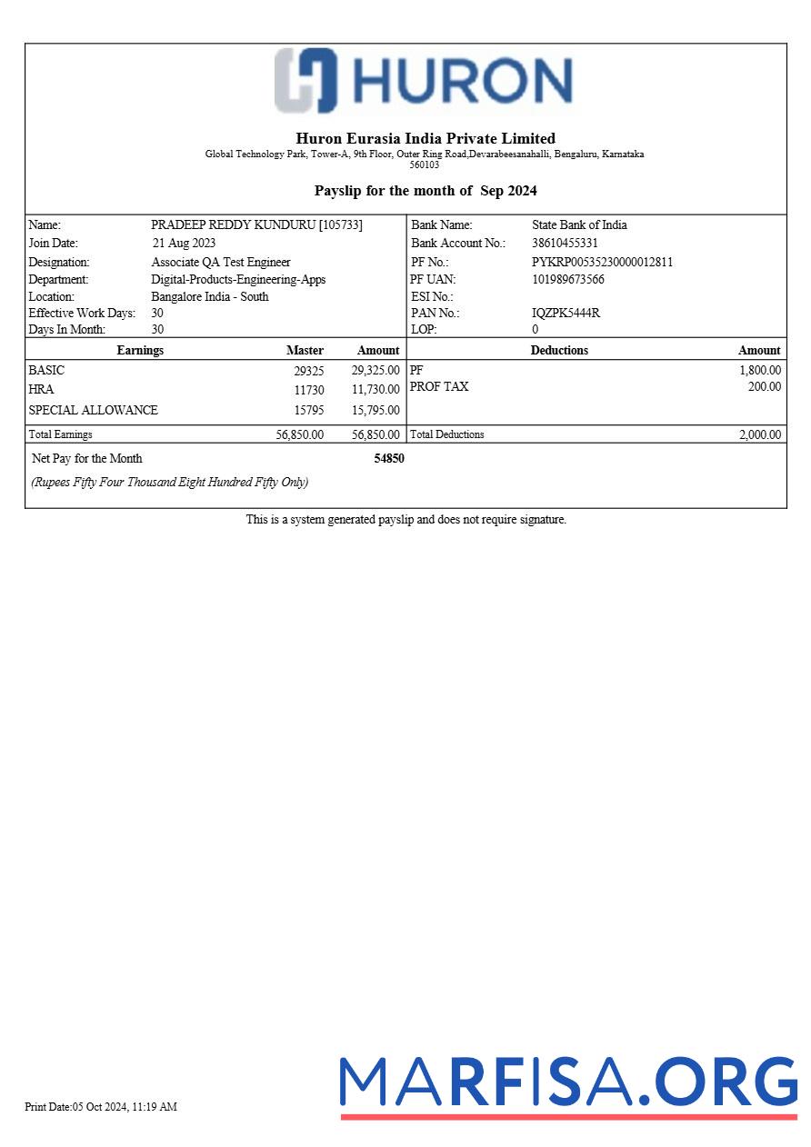 Huron Eurasia Индия payslip шаблон