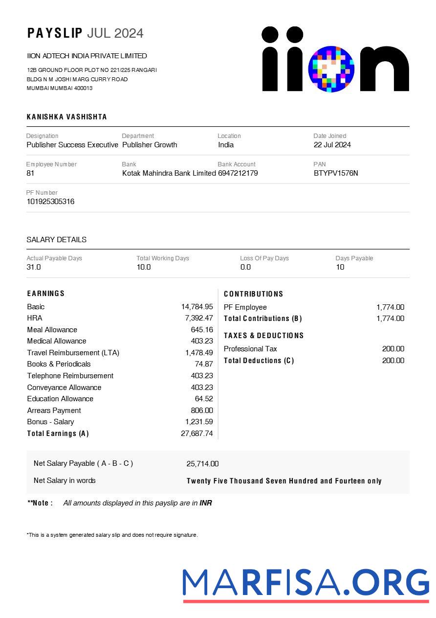IION Adtech Индия payslip дизайн