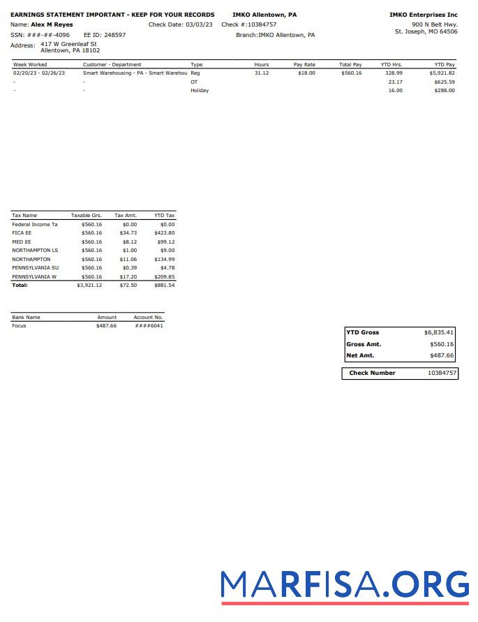 IMKO Enterprises Inc PayStub предпросмотр