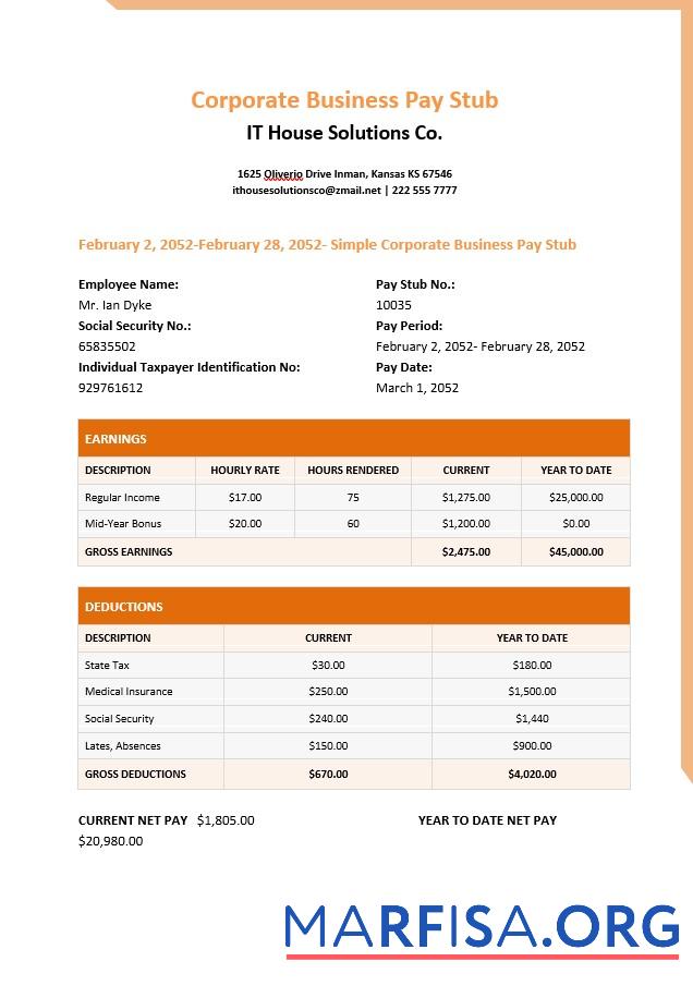 IT house solutions Co. pay stubs дизайн