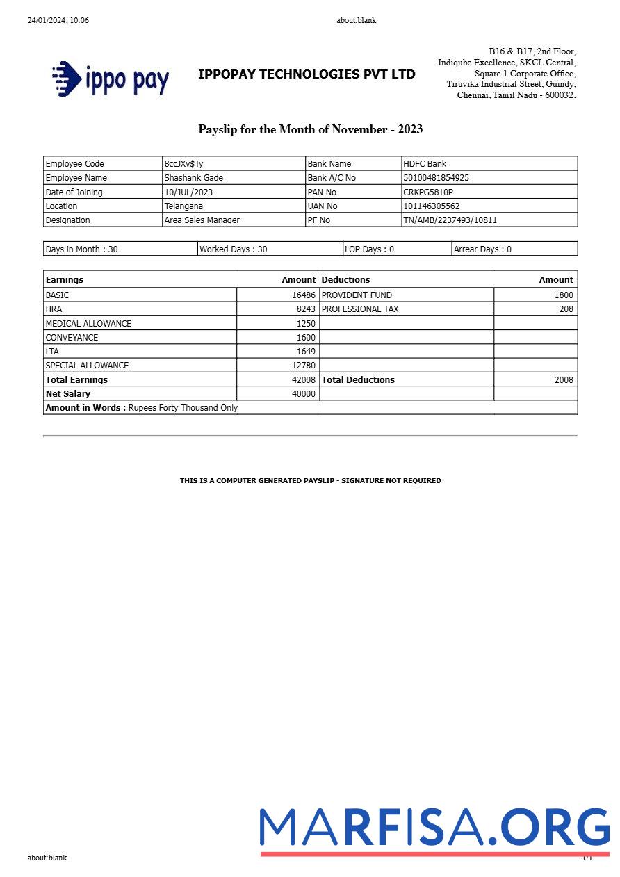 IppoPay Technologies payslip предпросмотр