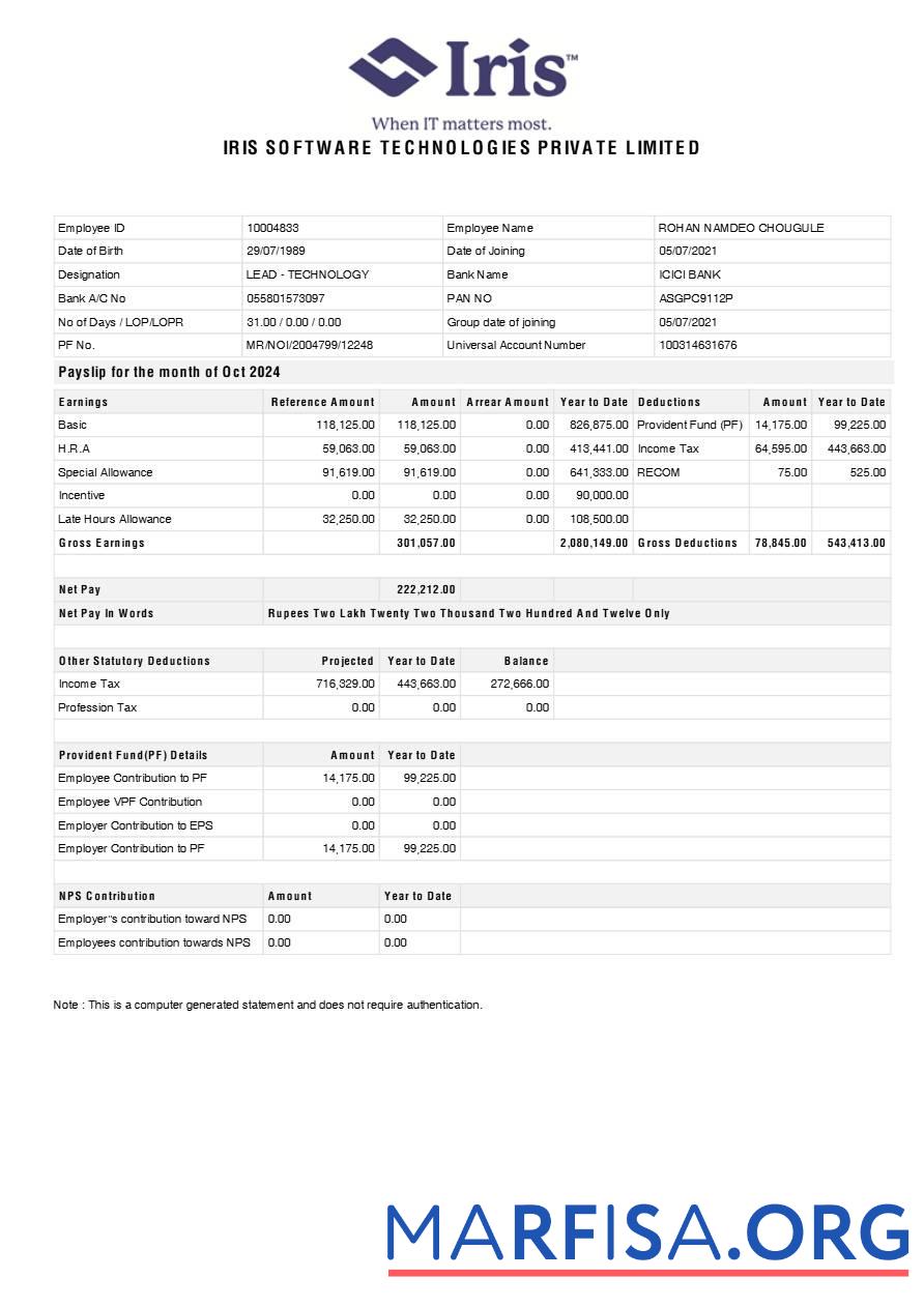 Iris Программное обеспечение Technologies payslip шаблон
