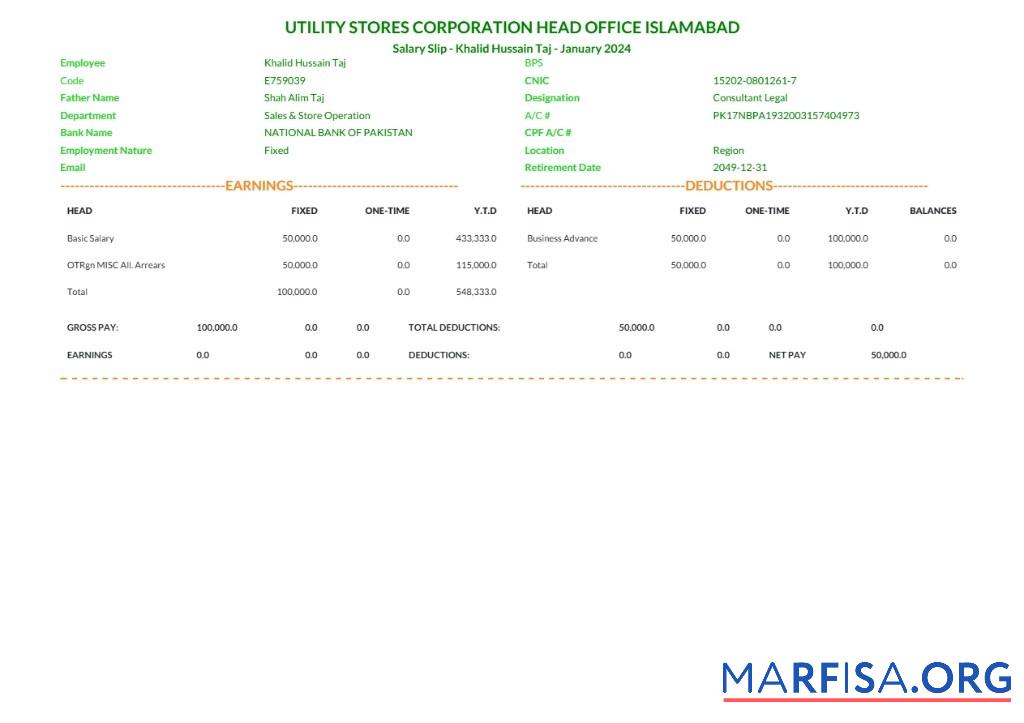 Islamabad Счёт за коммунальные услуги Stores Corporation salary slip макет