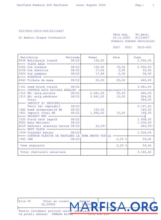 Kaufland Румыния SCS Paystub дизайн