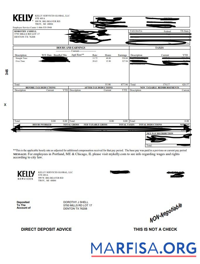 Kelly Paystub образец
