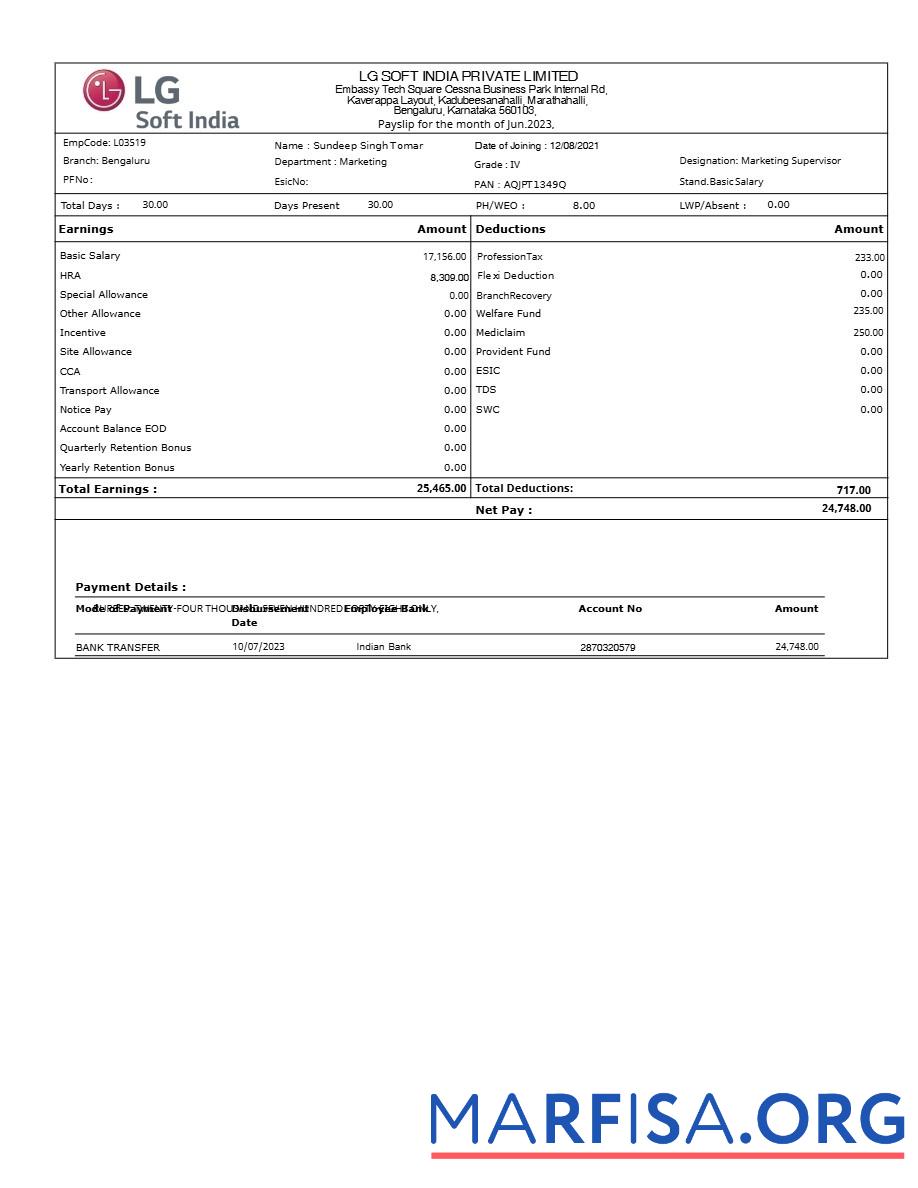 LG Soft Индия payslip шаблон