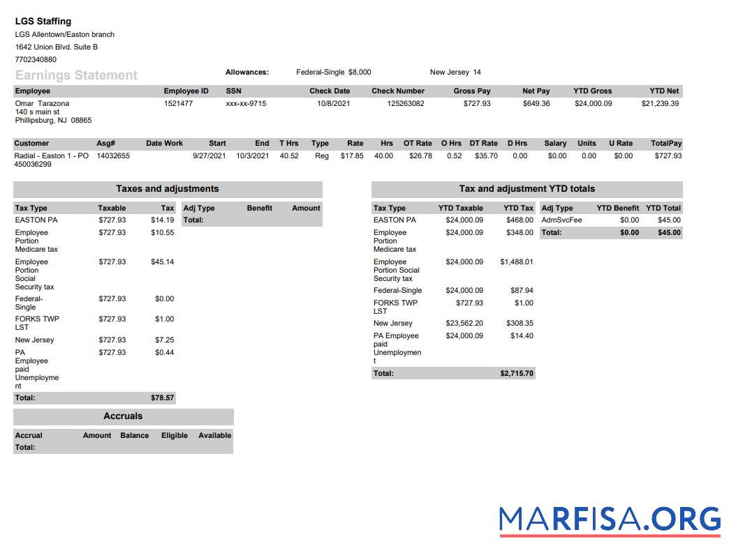 LGS Staffing pay stub шаблон