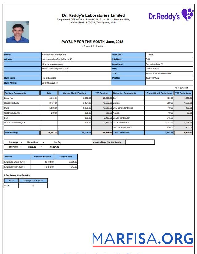 Laboratory payslip образец