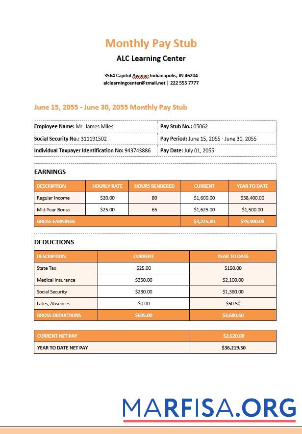 Learning Center Monthly Paystub шаблон