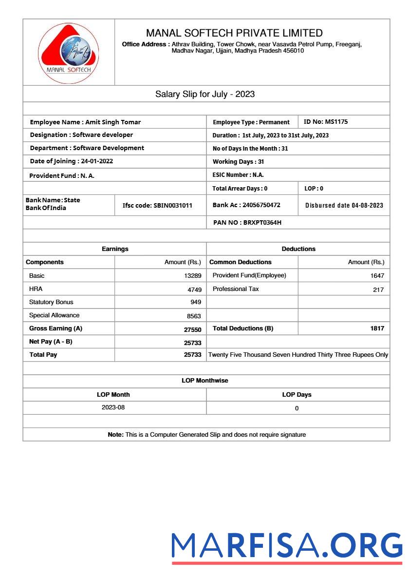 Manal Softech salary slip образец