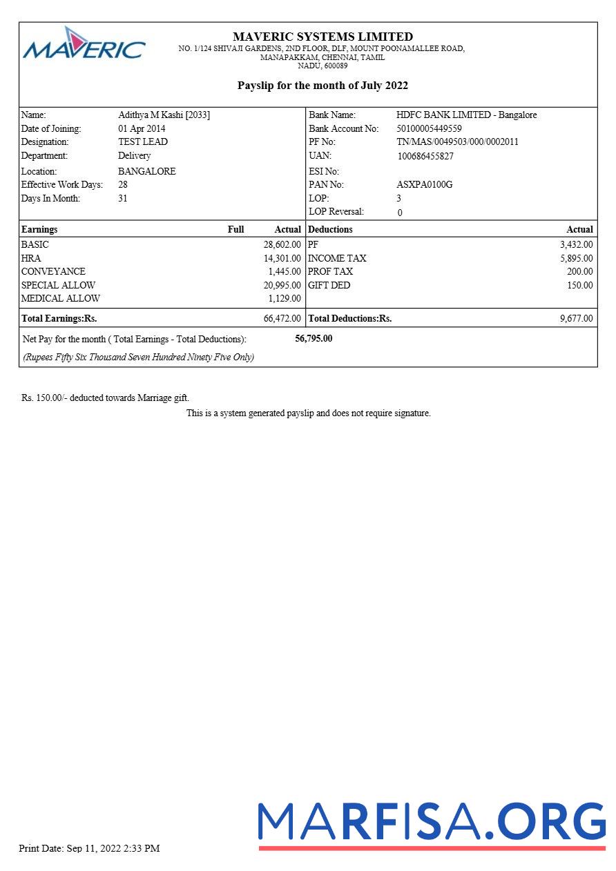 Maveric Systems инженерия Компания payslip макет