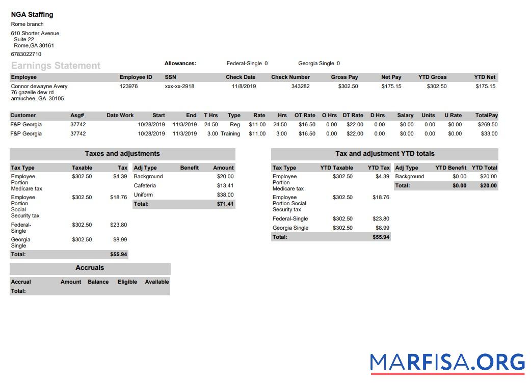 NGA Staffing pay stub образец