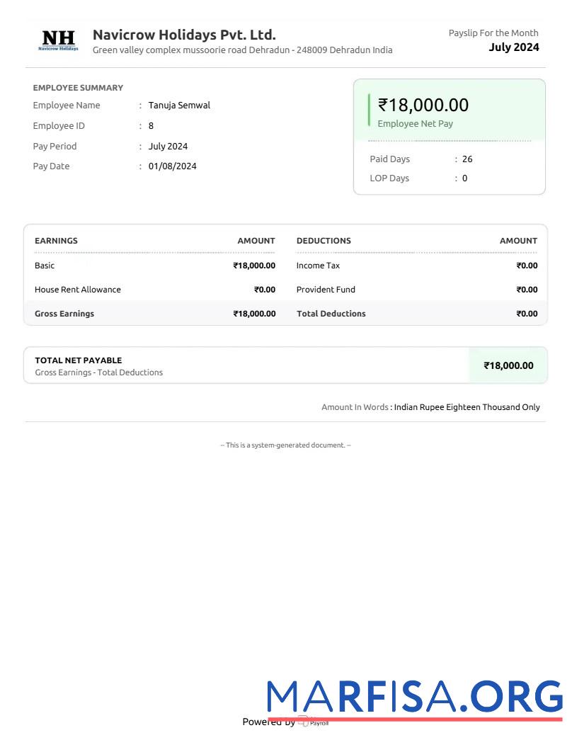 Navicrow Holidays Pvt. Ltd. earnings Резюме предпросмотр