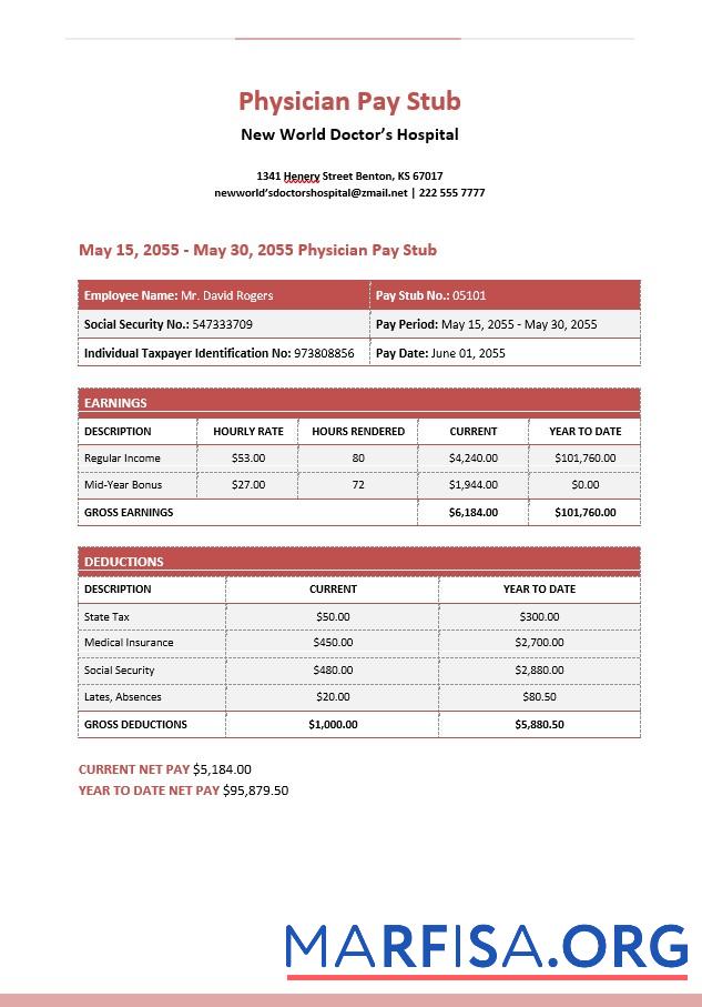 Новый World DoctorΓÇÖs Hospital Physician Pay Stubs образец
