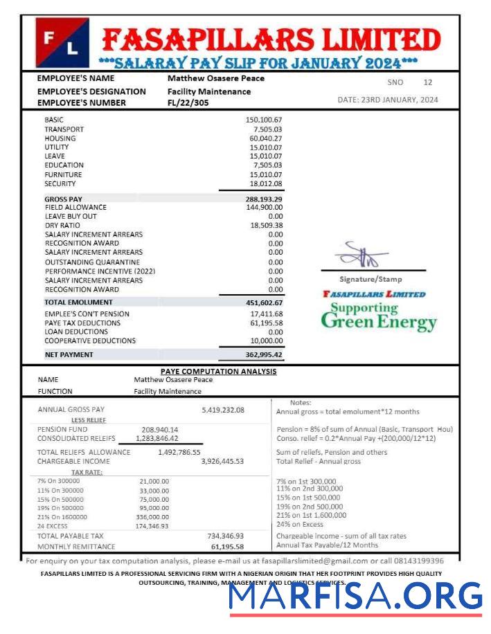 Нигерия Fasapillars Limited corporate office payslip макет
