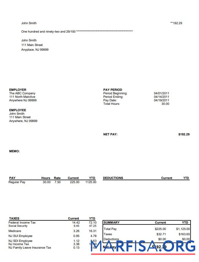 North Main Avenue Pay Stub дизайн