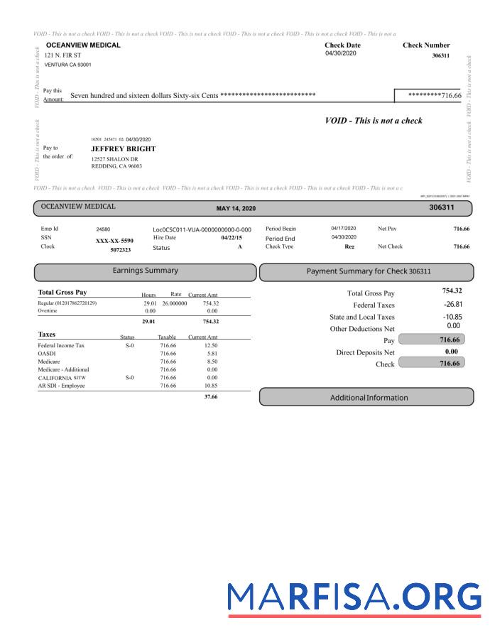 Oceanview Медицинский Paystub образец