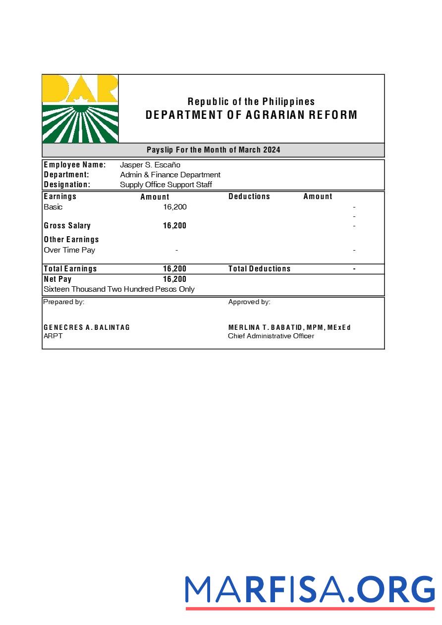 Филиппины Department of Agrarian Reform payslip образец