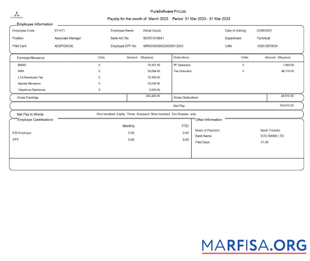 PureSoftware payslip образец