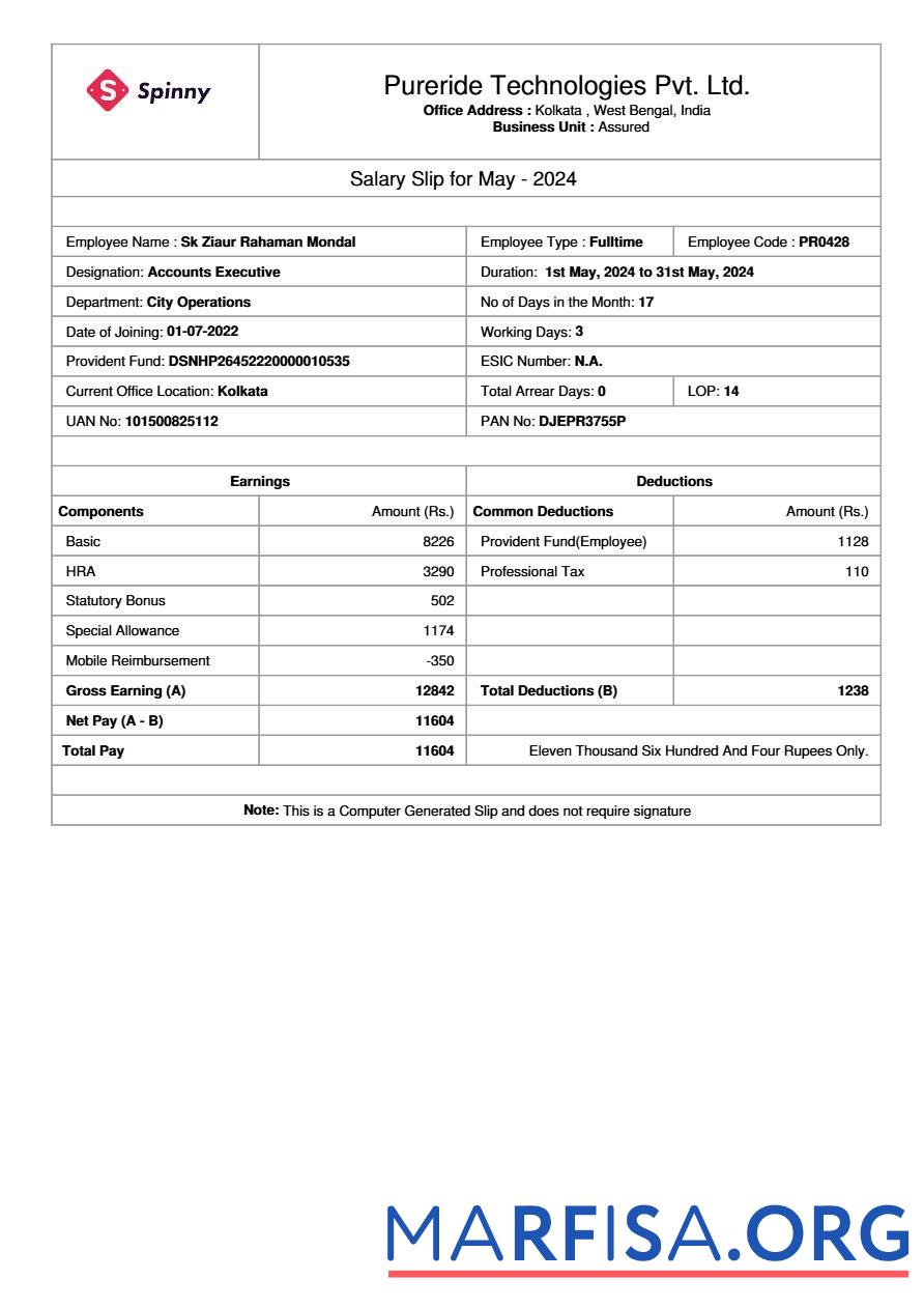 Pureride Technologies salary slip макет