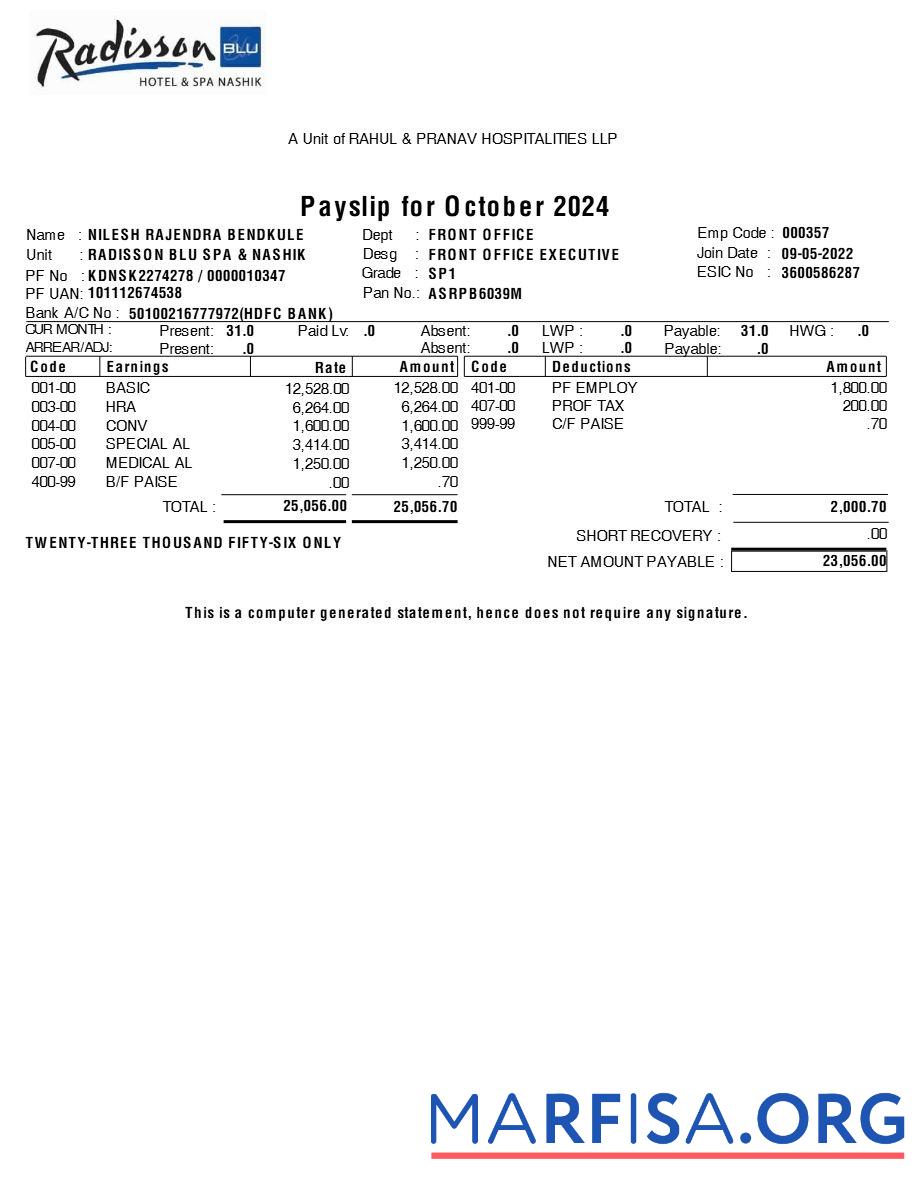 Radisson Blu Hotel & Spa payslip дизайн