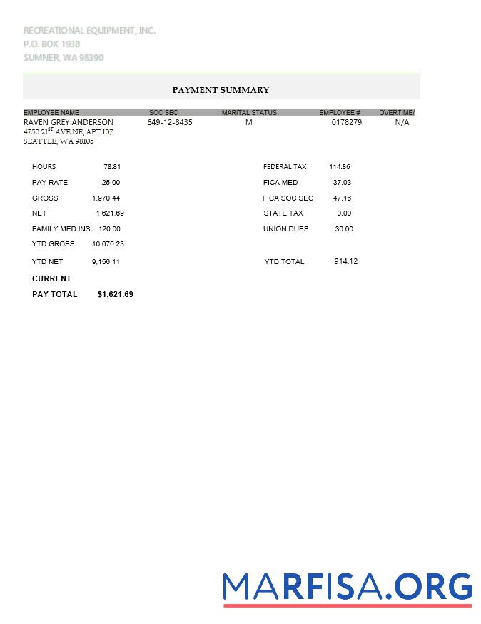 Recreational Оборудование LLC pay stub шаблон