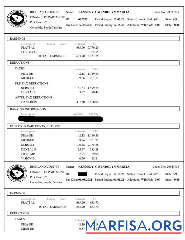 Richland County Финансы Department paystub дизайн