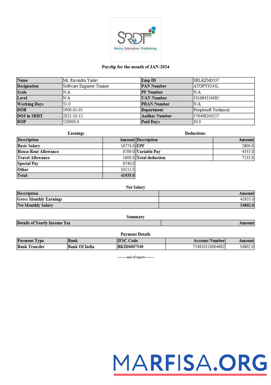 SRDT media, education, publishing payslip шаблон