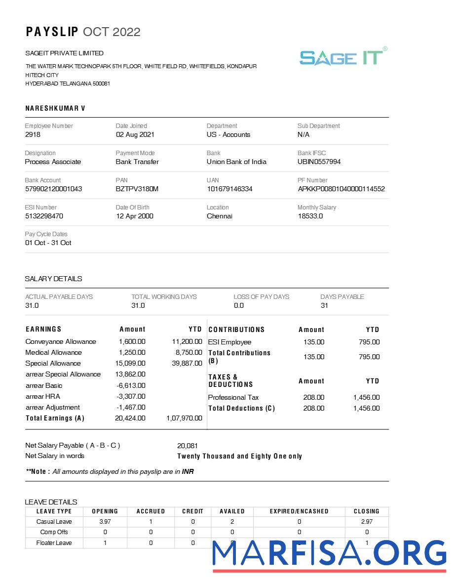 SageIT payslip макет