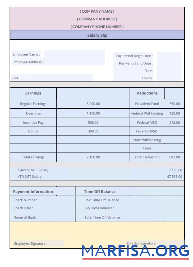 Salary Slip образец