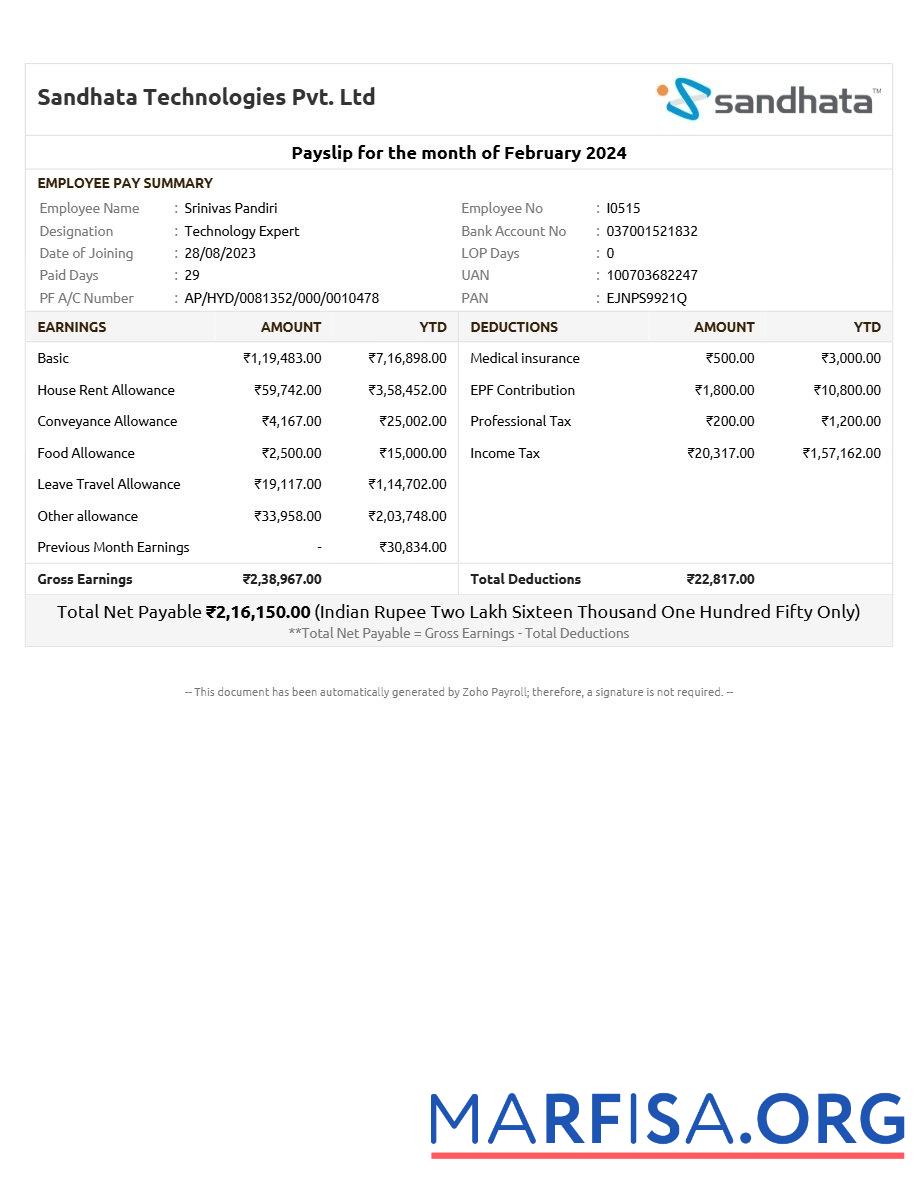 Sandhata Technologies payslip дизайн