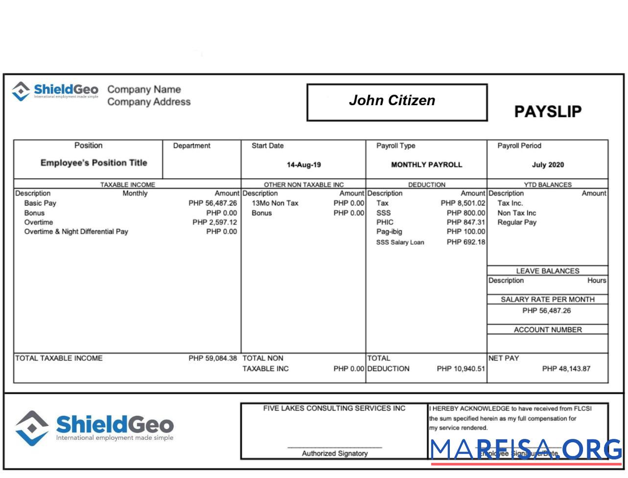 Shieldgeo payslip образец